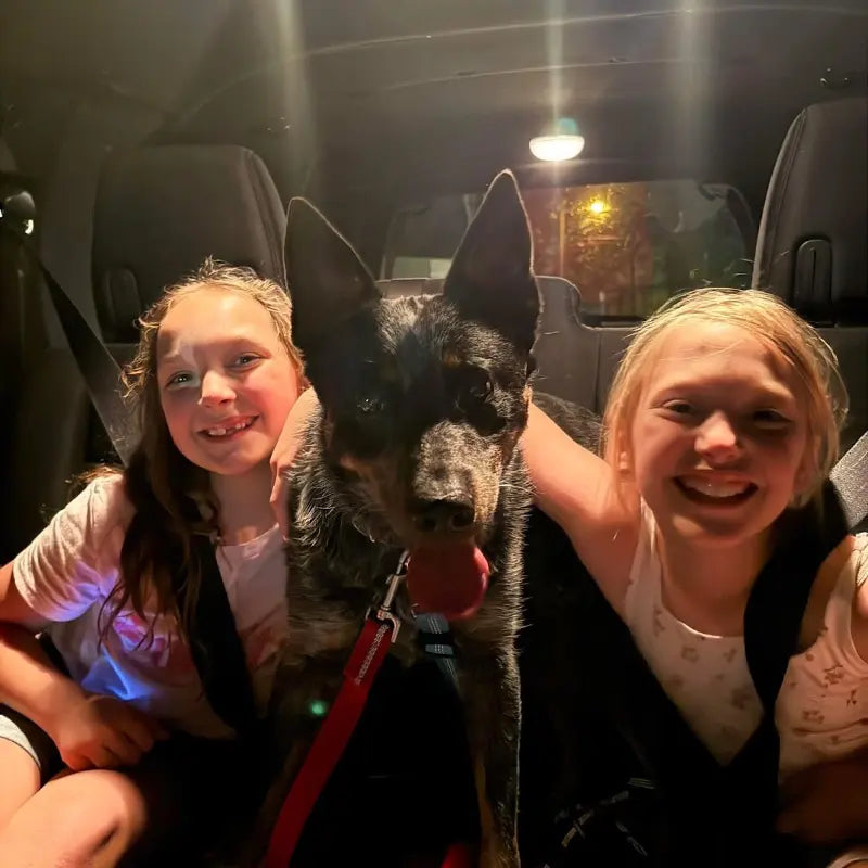 Two smiling children sitting beside a black dog inside a vehicle.