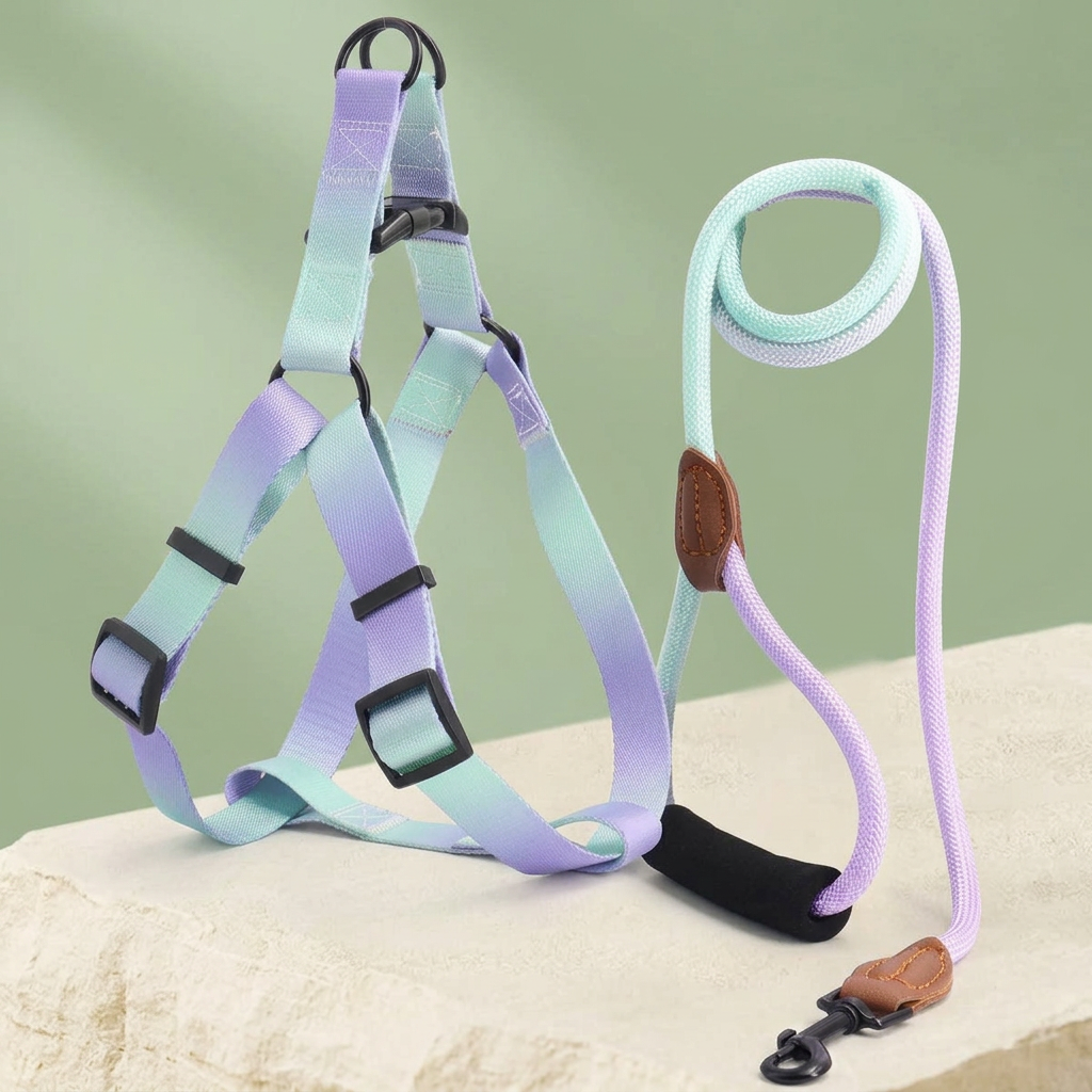 Gradient Dog Harness & Leash Set