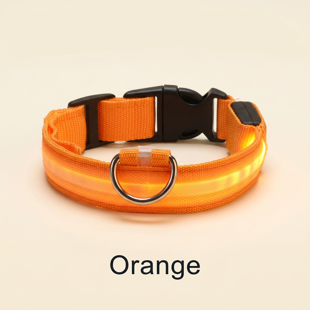 Orange LED dog collar with Orange color label