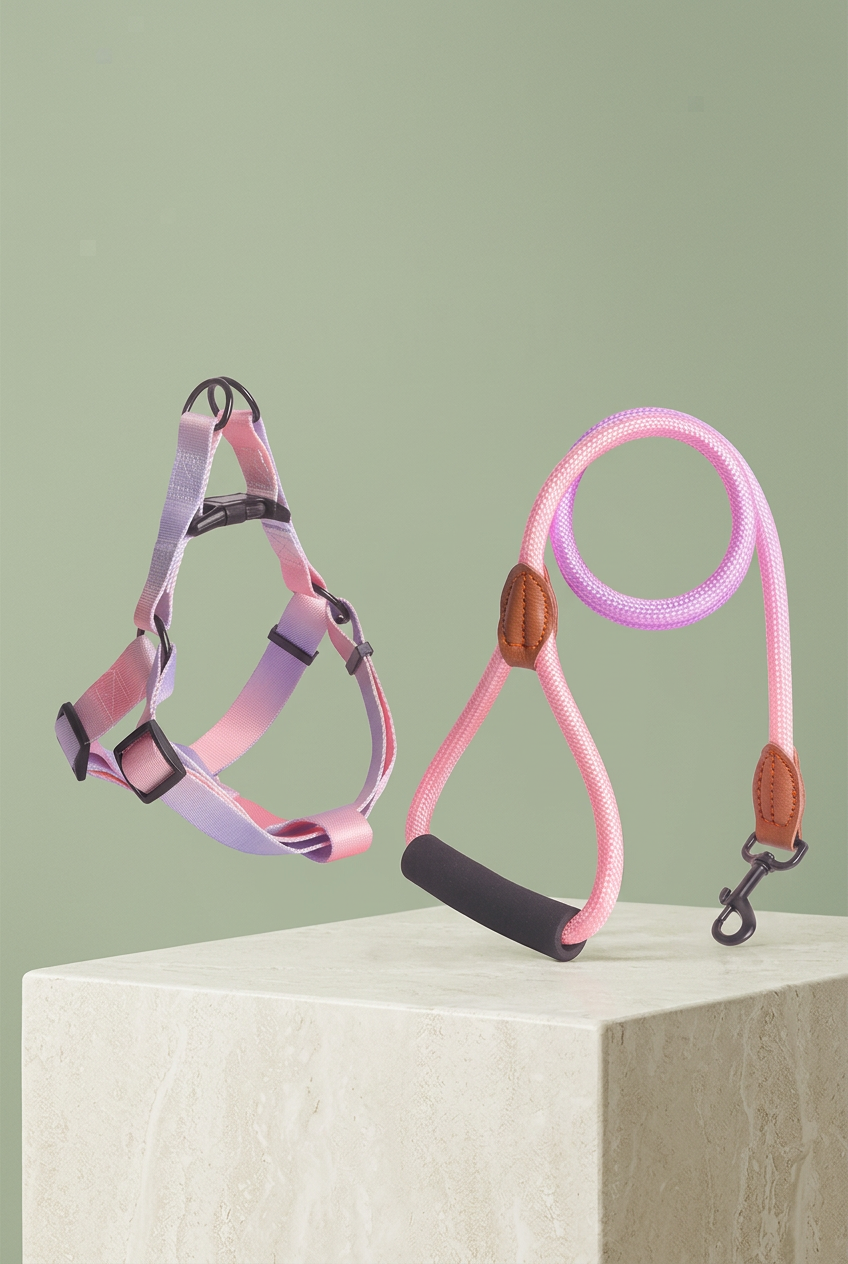 Portrait composition of a pink-purple harness and matching rope leash