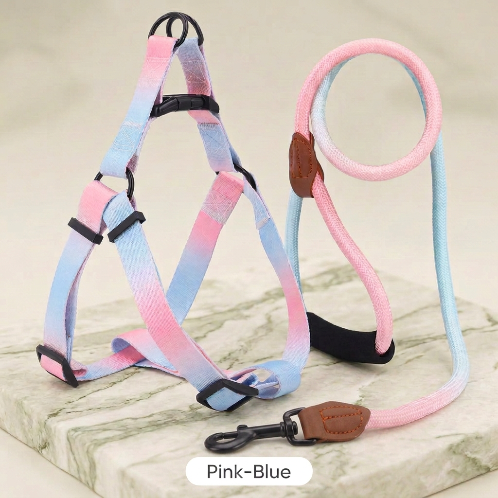 Gradient Dog Harness & Leash Set