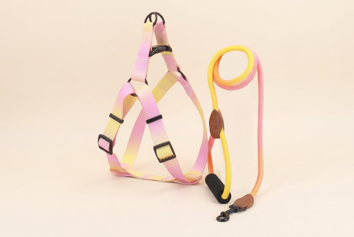 Wide view of pink-yellow gradient harness and matching rope leash
